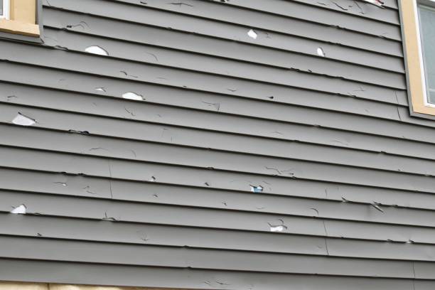 Best Historical Building Siding Restoration  in Hackettstown, NJ