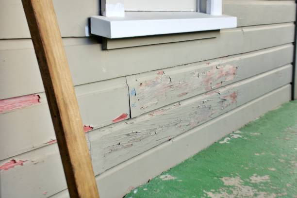 Best Steel Siding Installation  in Hackettstown, NJ
